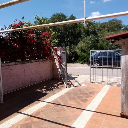 Villa Sa Minda Noa 2 Camere 2 Bagni Aria Condizionata E Giardino Olbia Bagian luar foto
